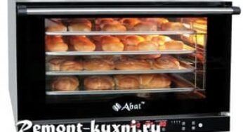 Конвекционная печь — как выбрать идеальную модель