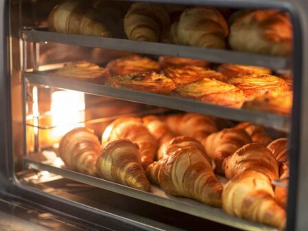 Как выбрать конвекционную печь для пекарни Как выбрать конвекционную печь