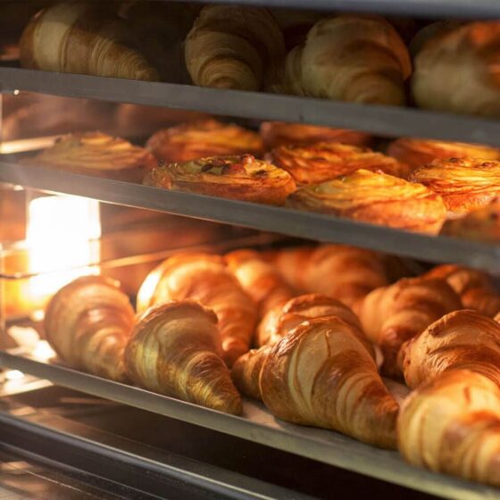 Как выбрать конвекционную печь