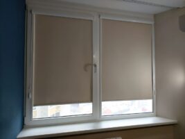 Чем закрытые рулонные шторы лучше открытых