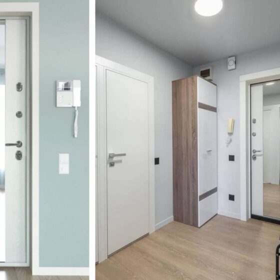 зеркальная дверь